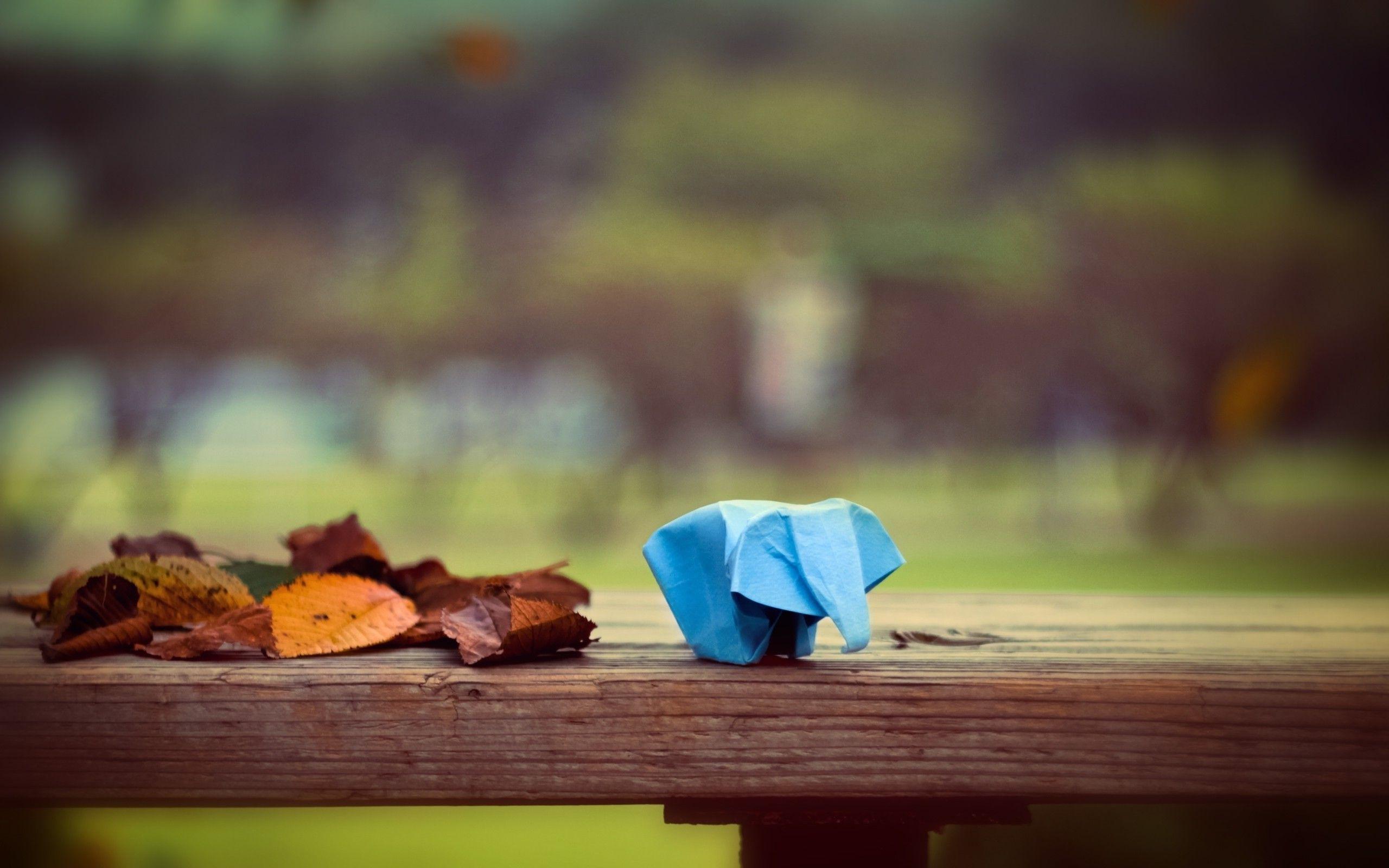 2560x1600 leaves, Fall, Depth Of Field, Animals, Origami, Elephants, Table