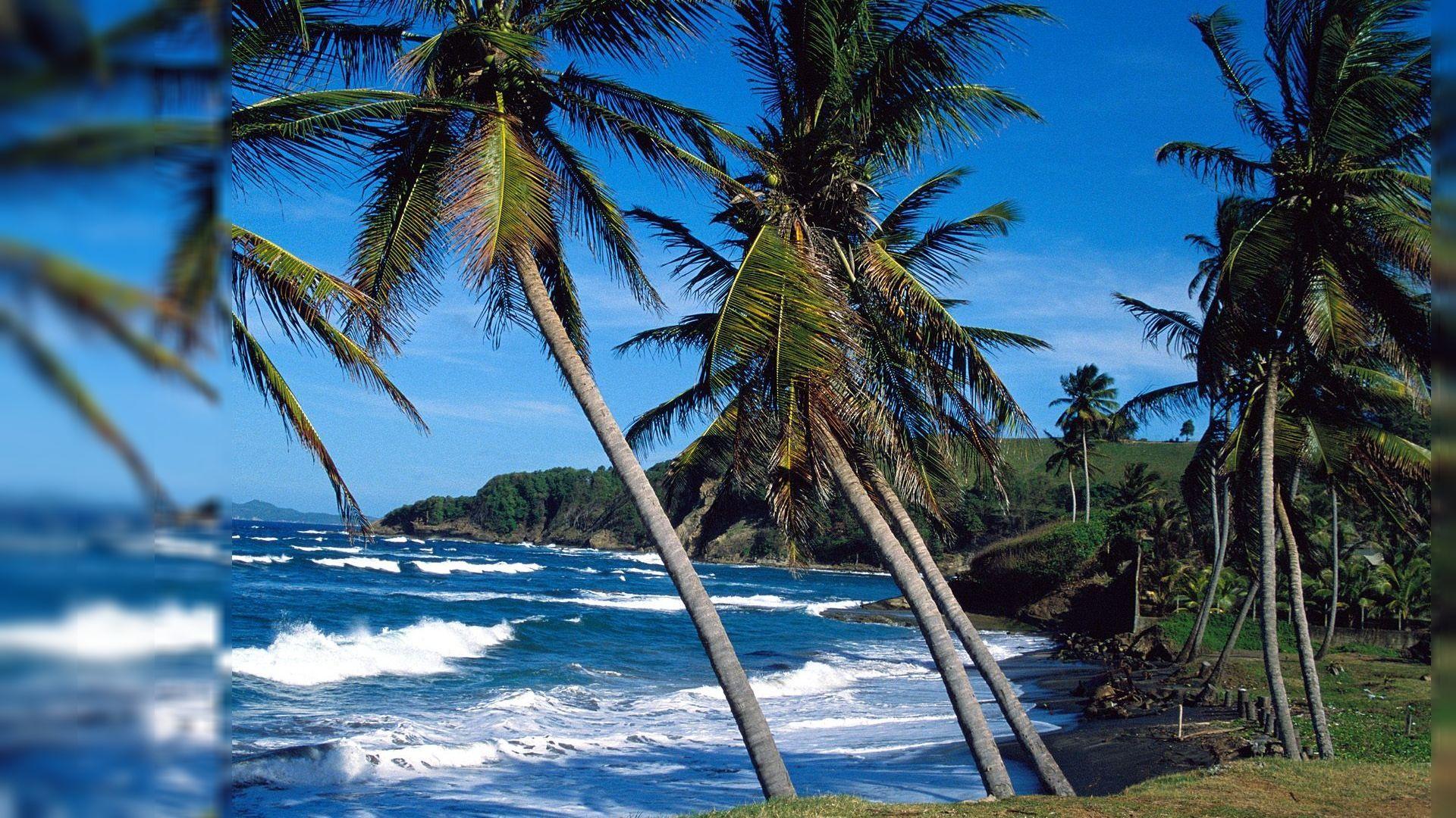 1920x1080 summer picture for desktop. Free Summer Desktop Background