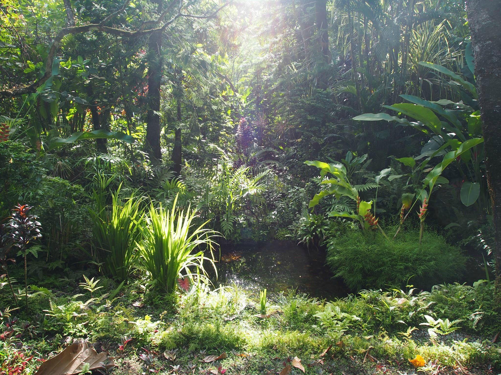 2048x1536 Nature Saint Lucia HD wallpaper