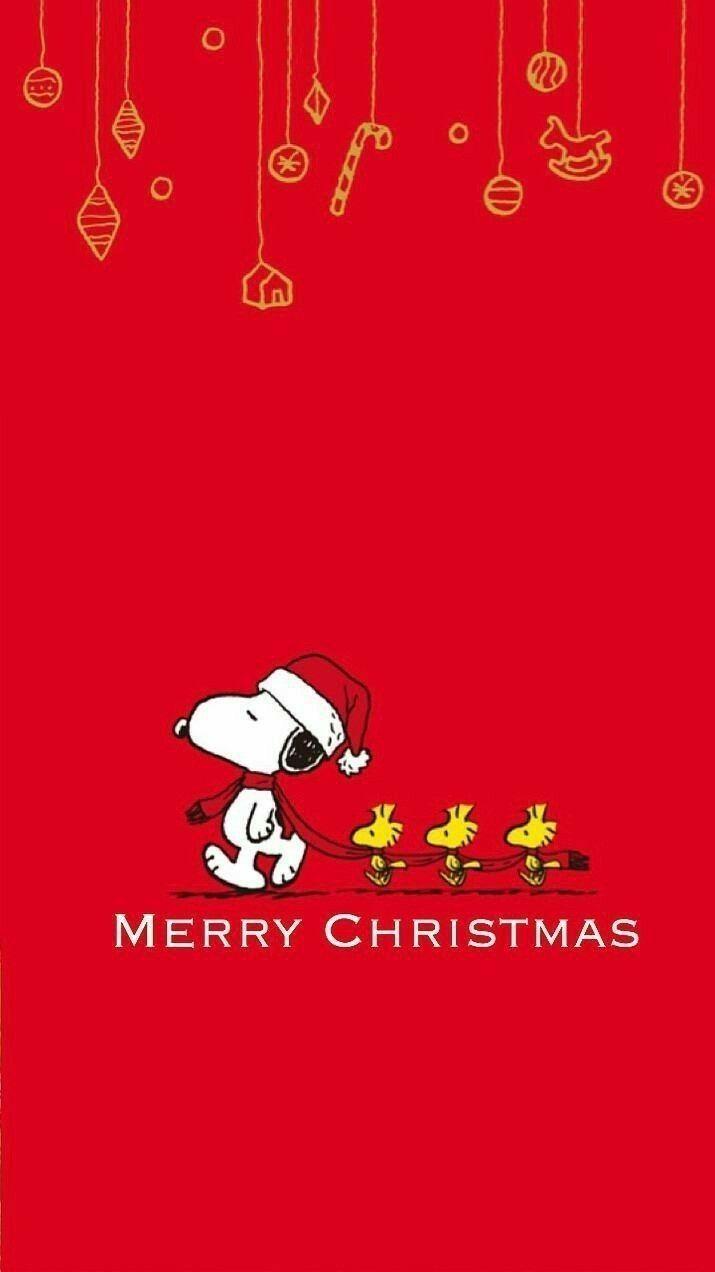 715x1272 snoopywallpaper #merrychristmas #snoopy #woodstock. Snoopy christmas, Funny christmas wallpaper, Snoopy and woodstock
