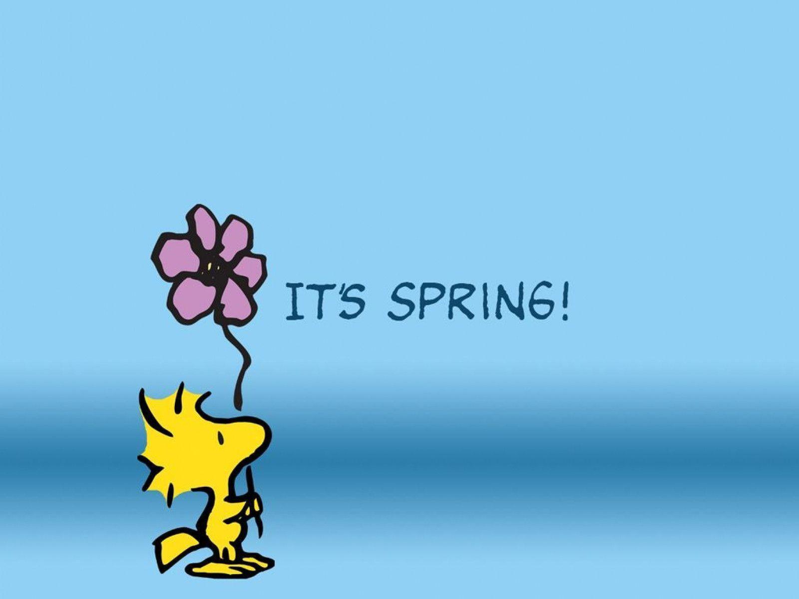 Snoopy Spring Wallpapers Top Free Snoopy Spring Backgrounds Wallpaperaccess