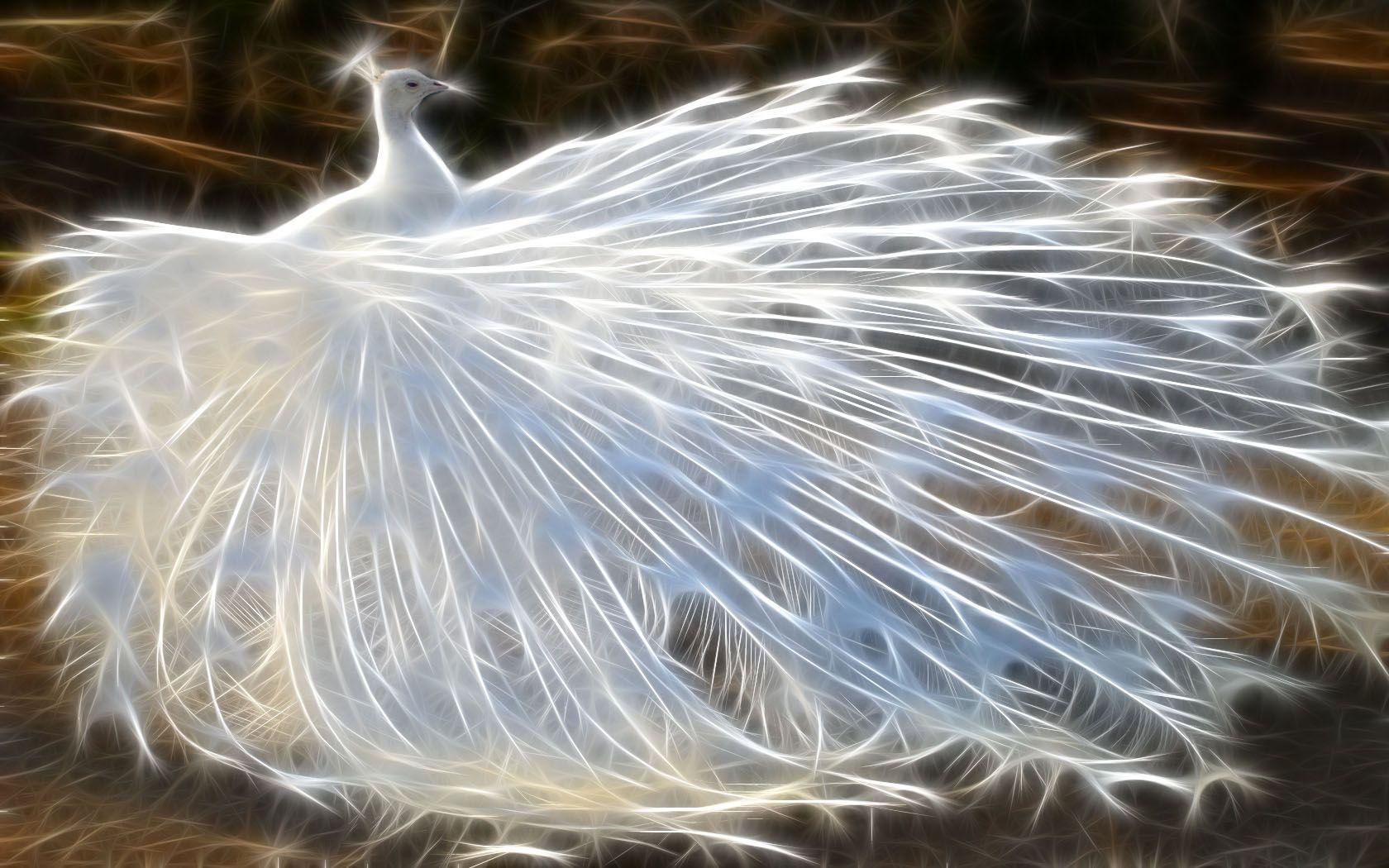 1680x1050 Digital Art wallpaper. Digital Art