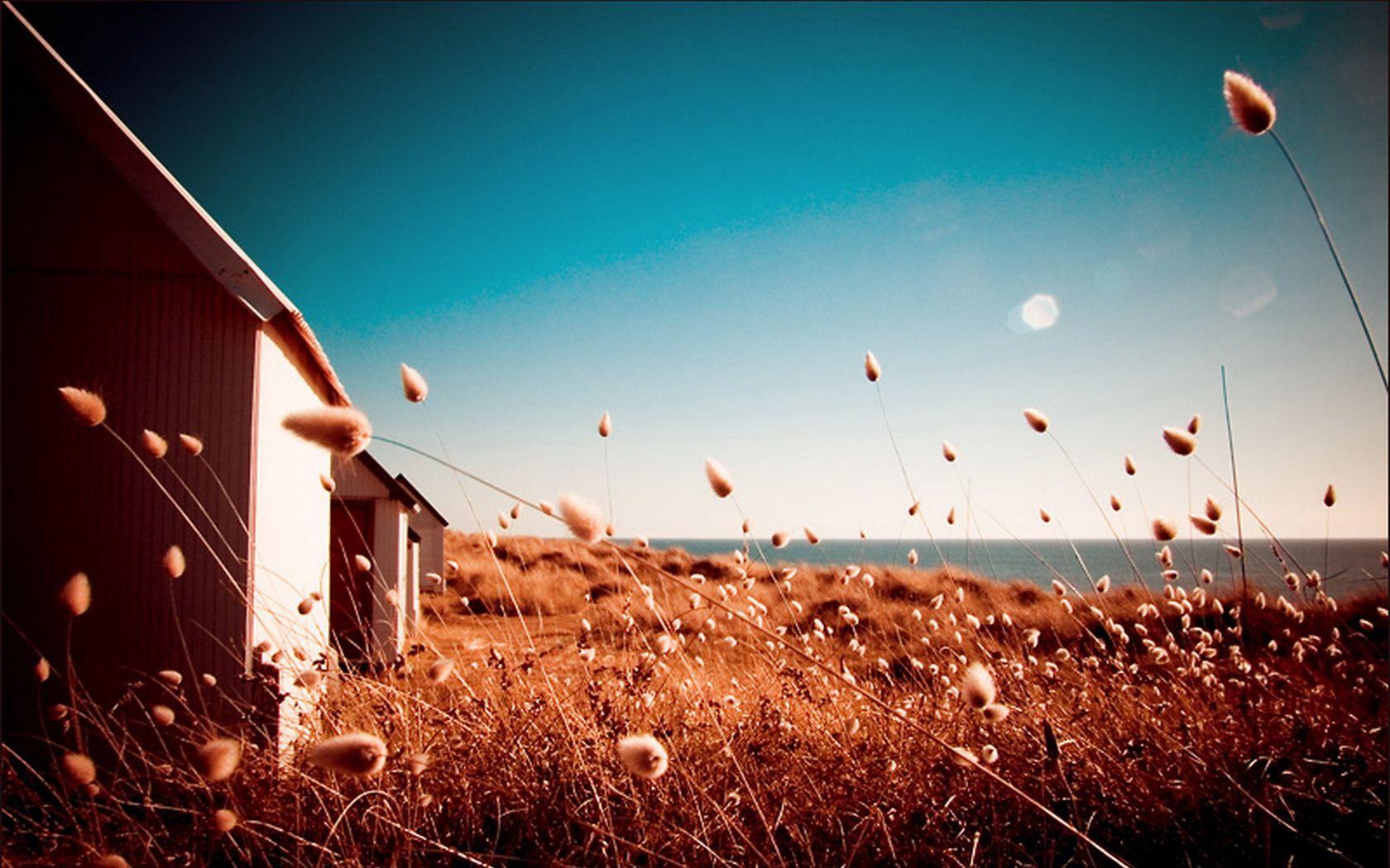 1680x1050 Photography Wallpaper, Best HD Wallpaper of Photography, FHDQ