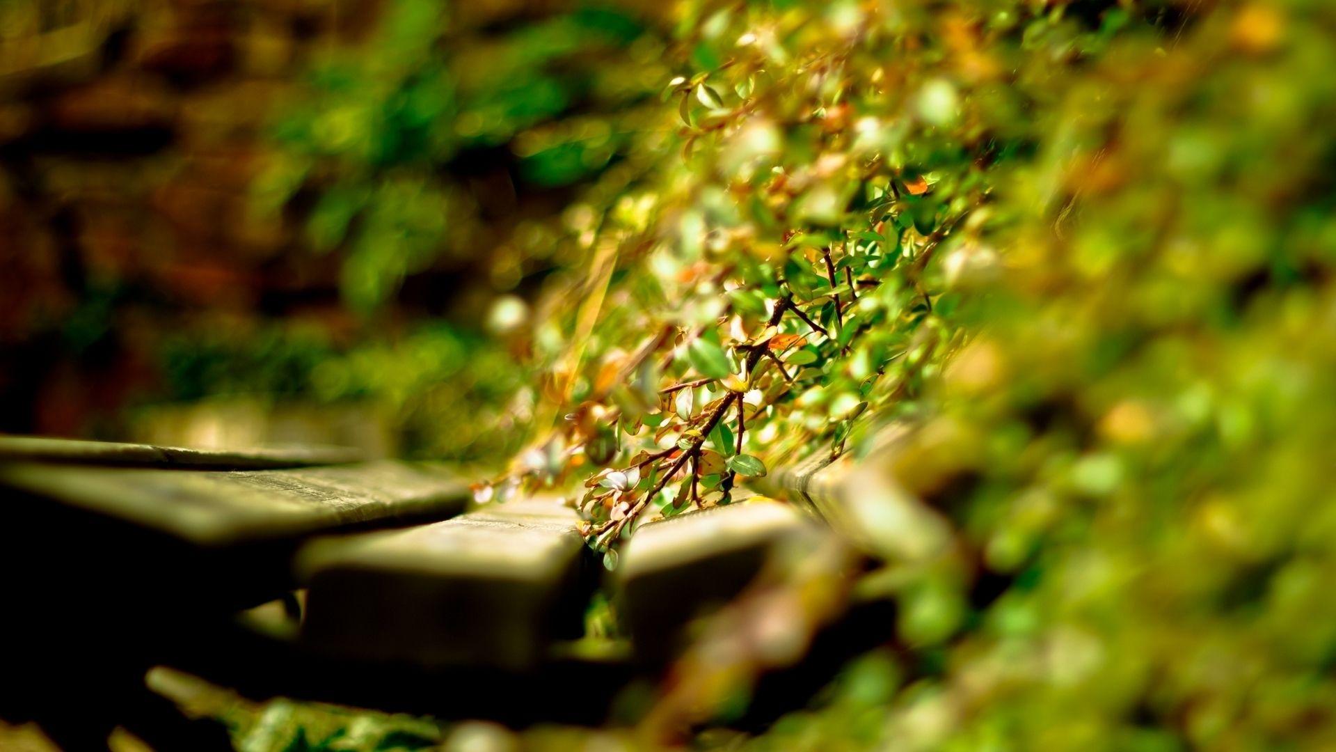 1920x1080 Wallpaper Photography. Photography