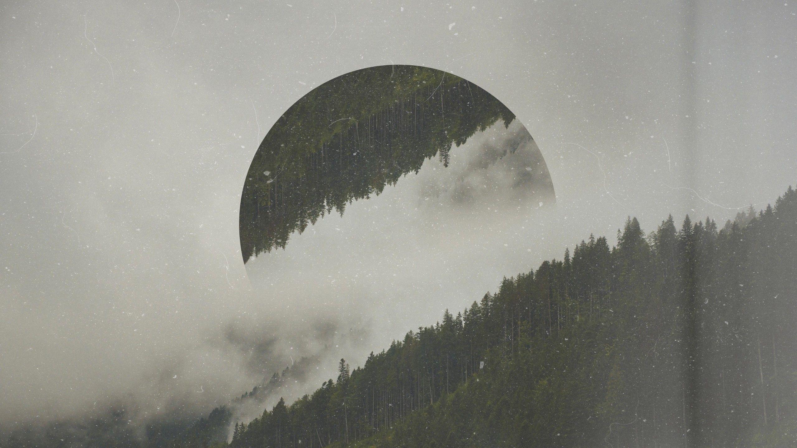 2560x1440 Forest Circle Photo Manipulation Digital Art, HD Photography, 4k Wallpaper, Image, Background, Photo and Picture