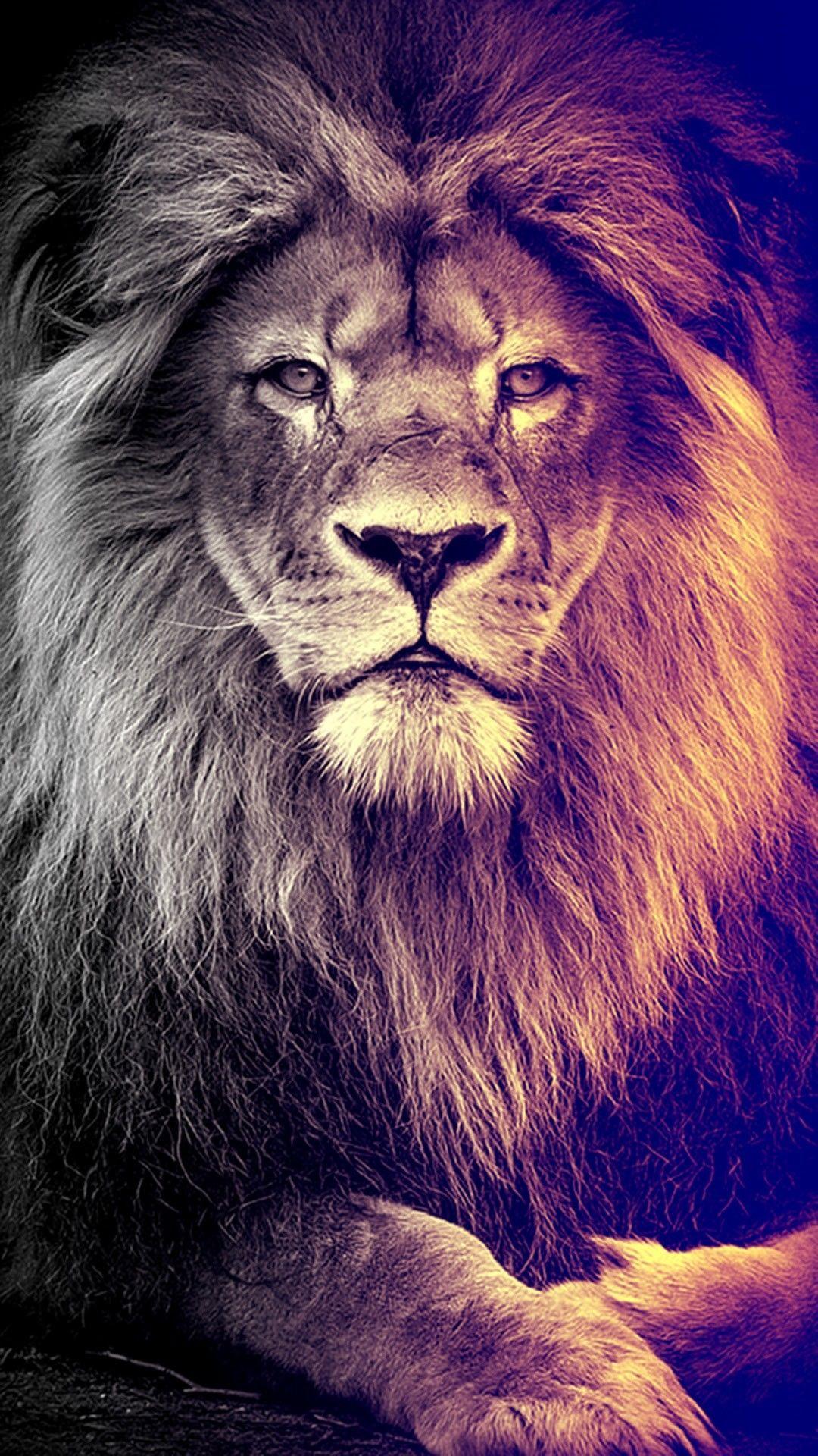 1080x1920 Zendha: Cell Phone Wallpaper Leo