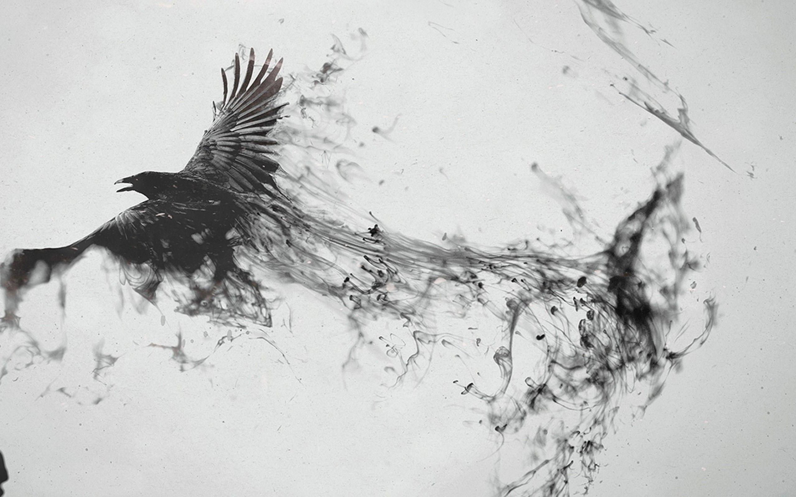 2560x1600 digital Art, Photo Manipulation, Monochrome, Birds, Animals, Raven Wallpaper HD / Desktop and Mobile Background