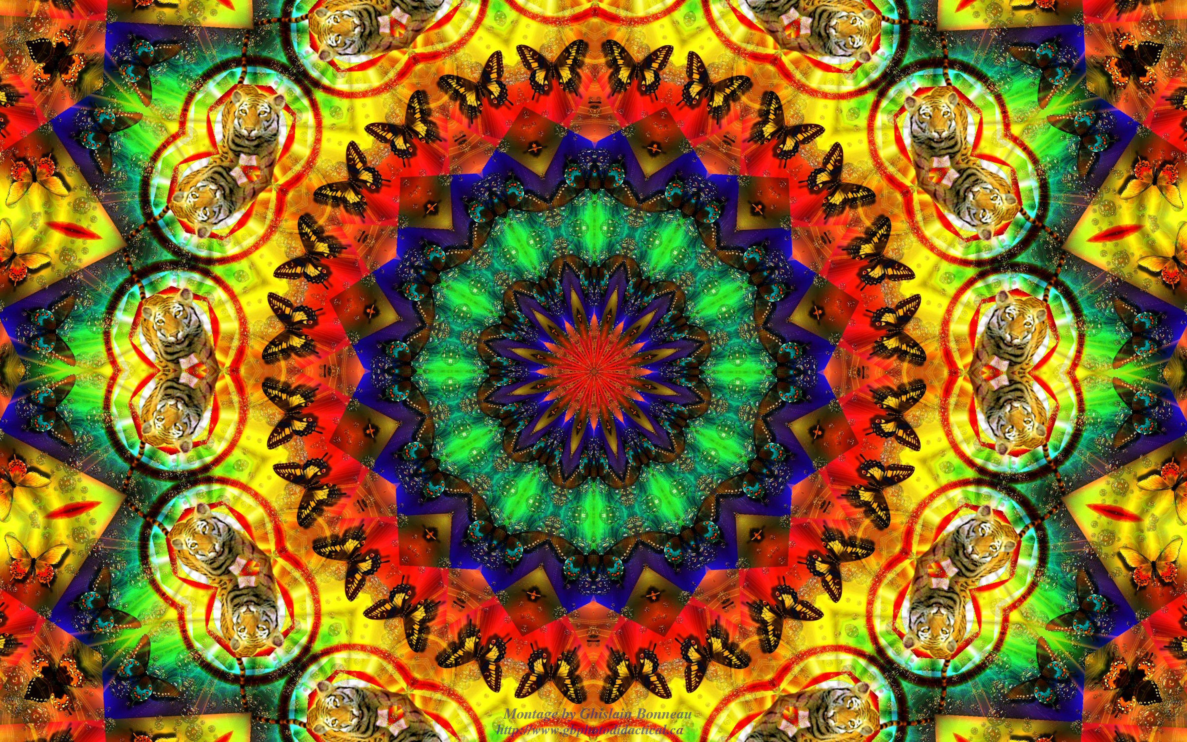 4000x2500 Hippy Image. Original High Quality Wallpaper Collection