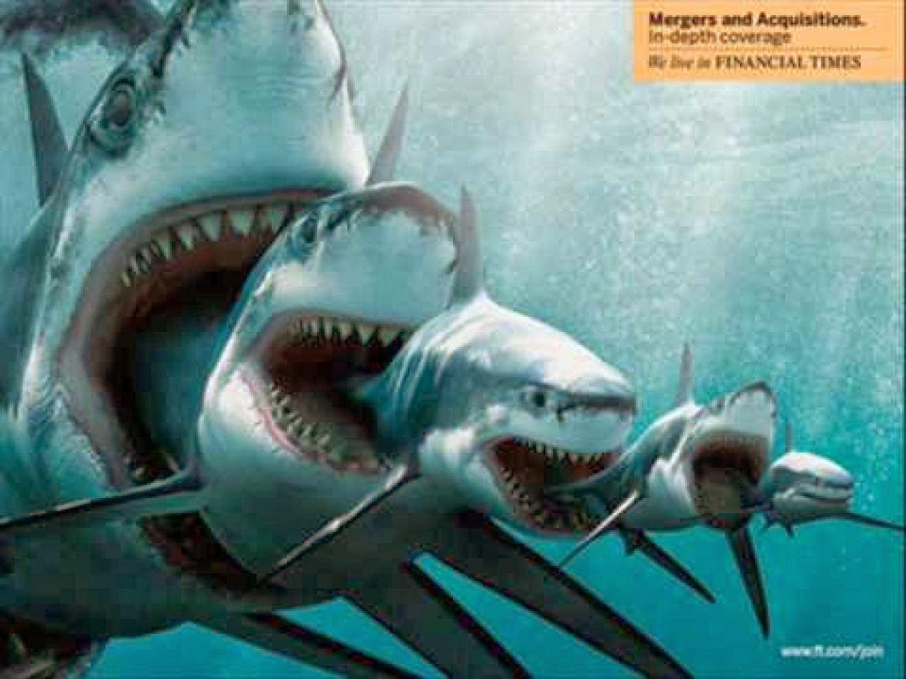 1320x990 Megalodon Desktop Background. Beautiful