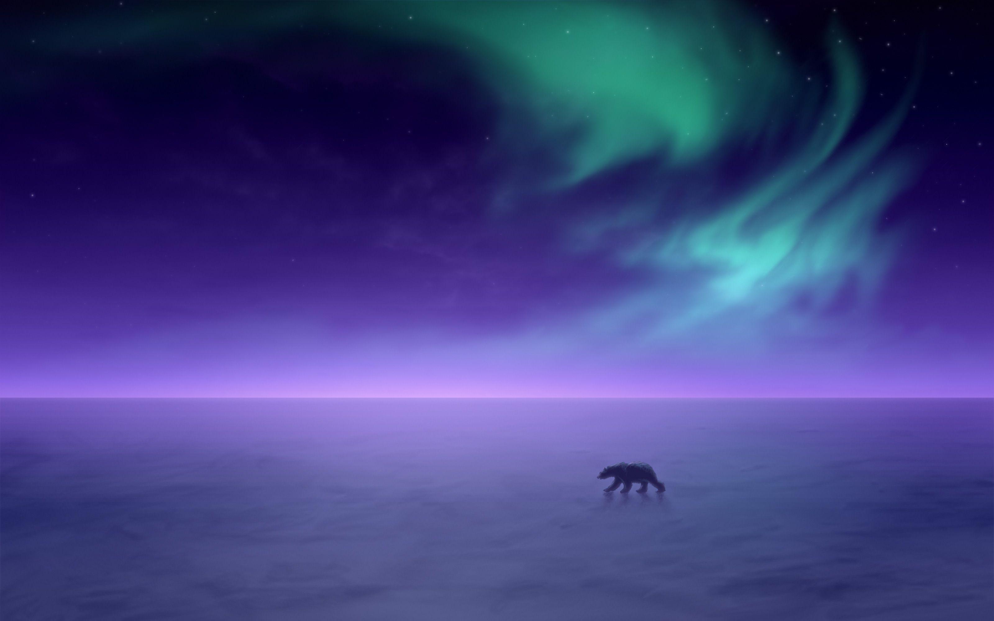 3200x2000 Wallpaper Polar bear, Northern Lights, Aurora Borealis, Horizon, HD
