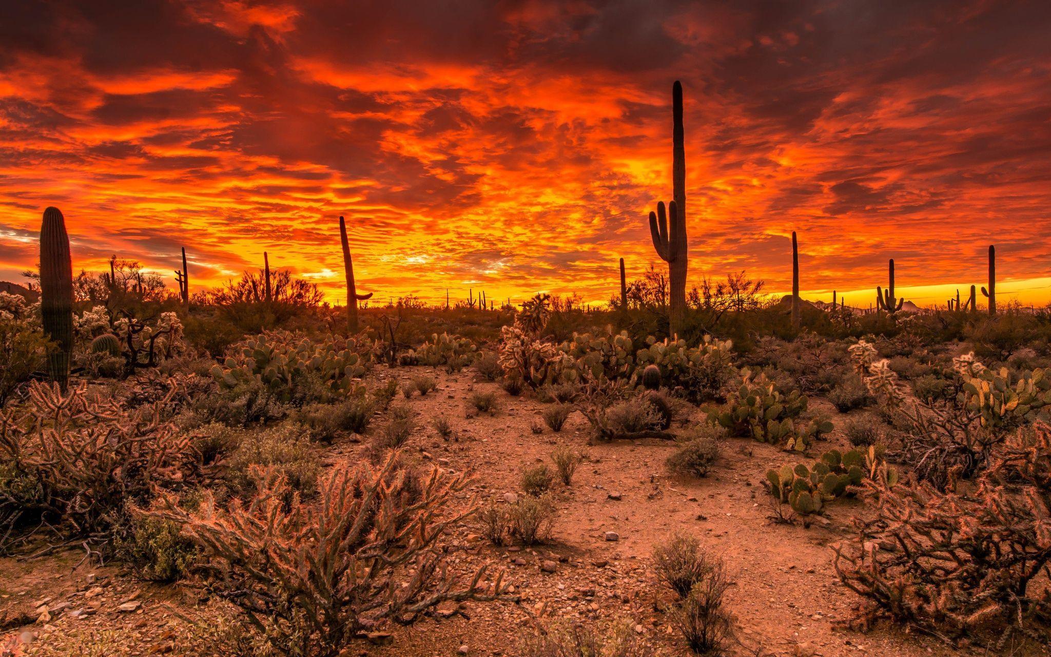 2048x1280 Tucson Sunset Wallpaper. Tucson