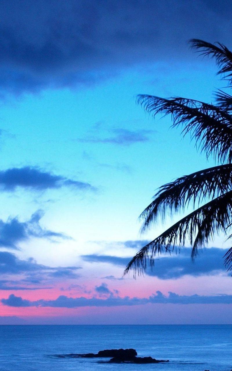Blue Sunset Beach Wallpapers - Top Free Blue Sunset Beach Backgrounds ...