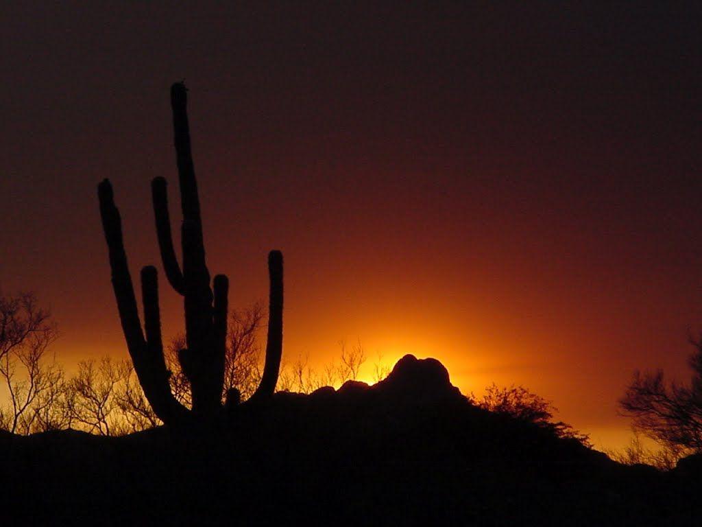 1024x768 Tucson Wallpaper