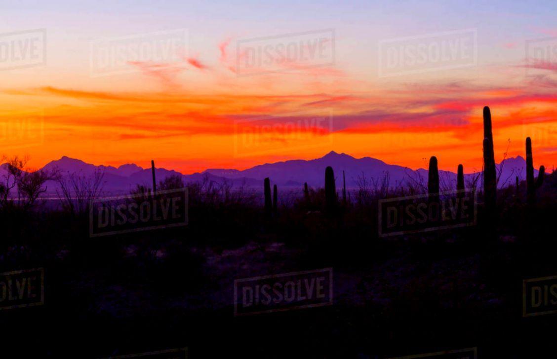 1128x728 Desert Sunset Image