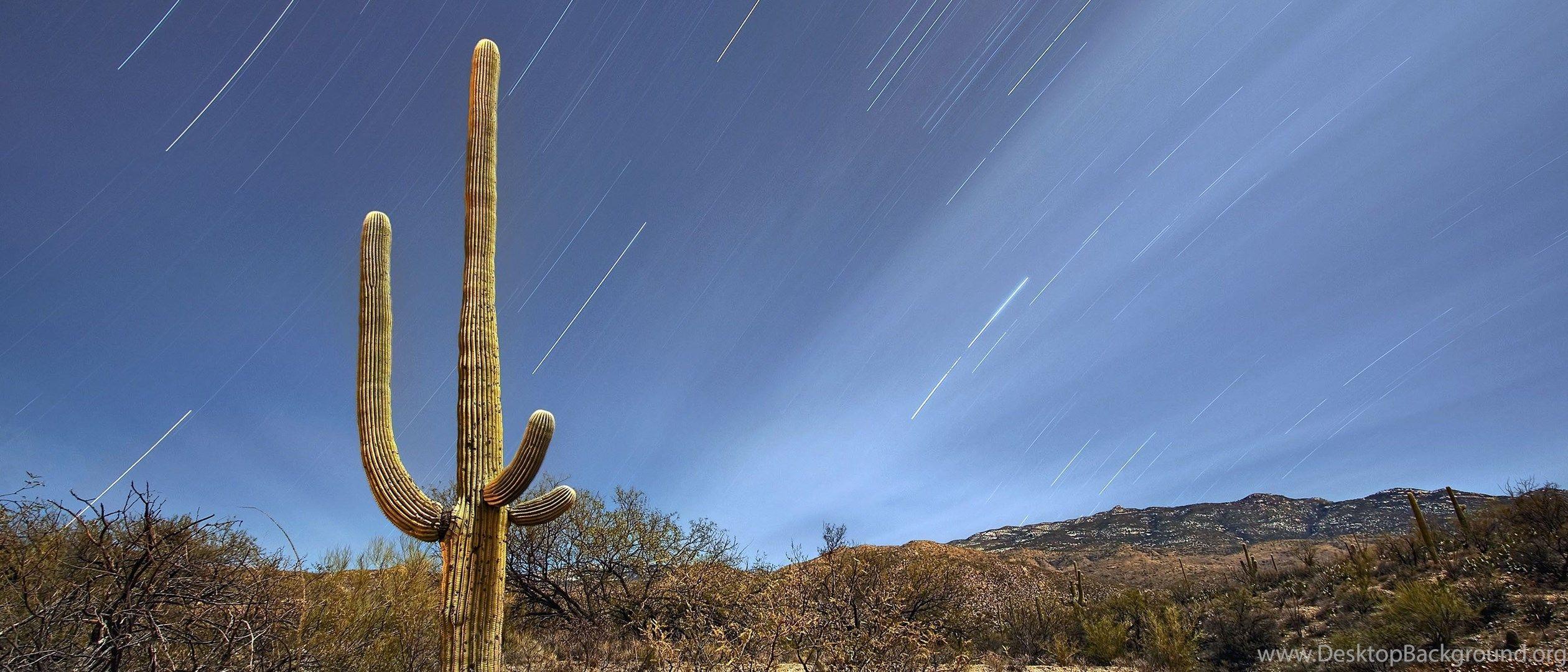 2520x1080 Saguaro National Park Tucson Arizona Wallpaper Desktop Background