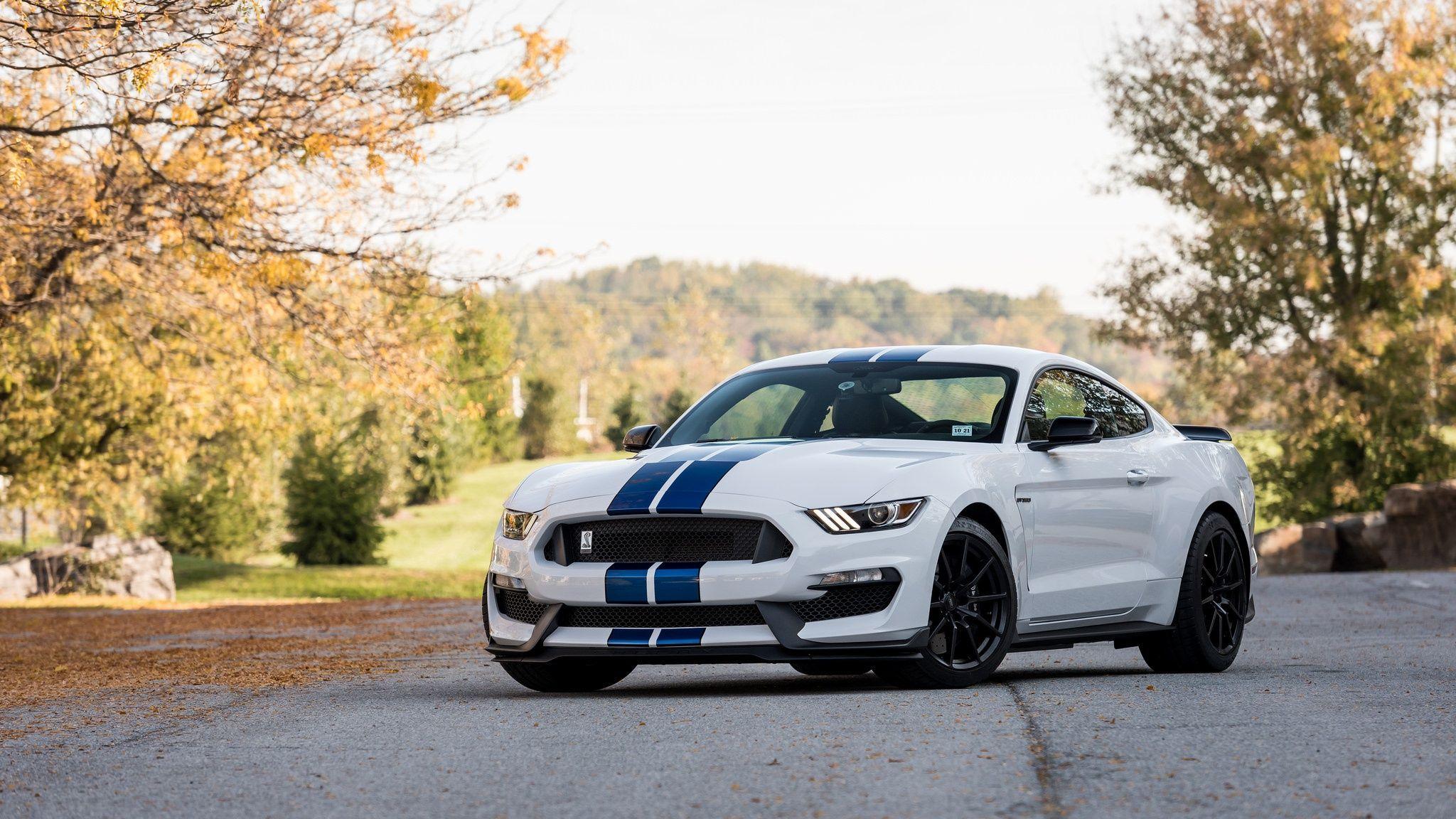 2048x1152 car, Nature, Depth of field, Ford Mustang Shelby, Shelby GT350 Wallpaper HD / Desktop and Mobile Background