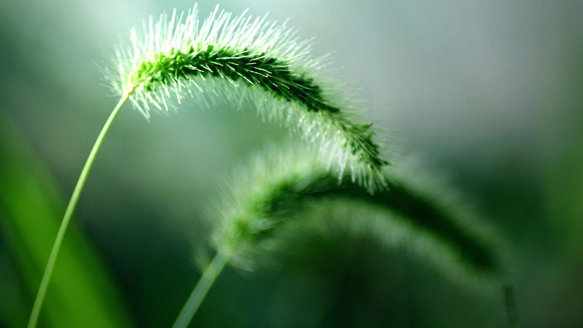 1920x1080 Windows. Desktop wallpaper