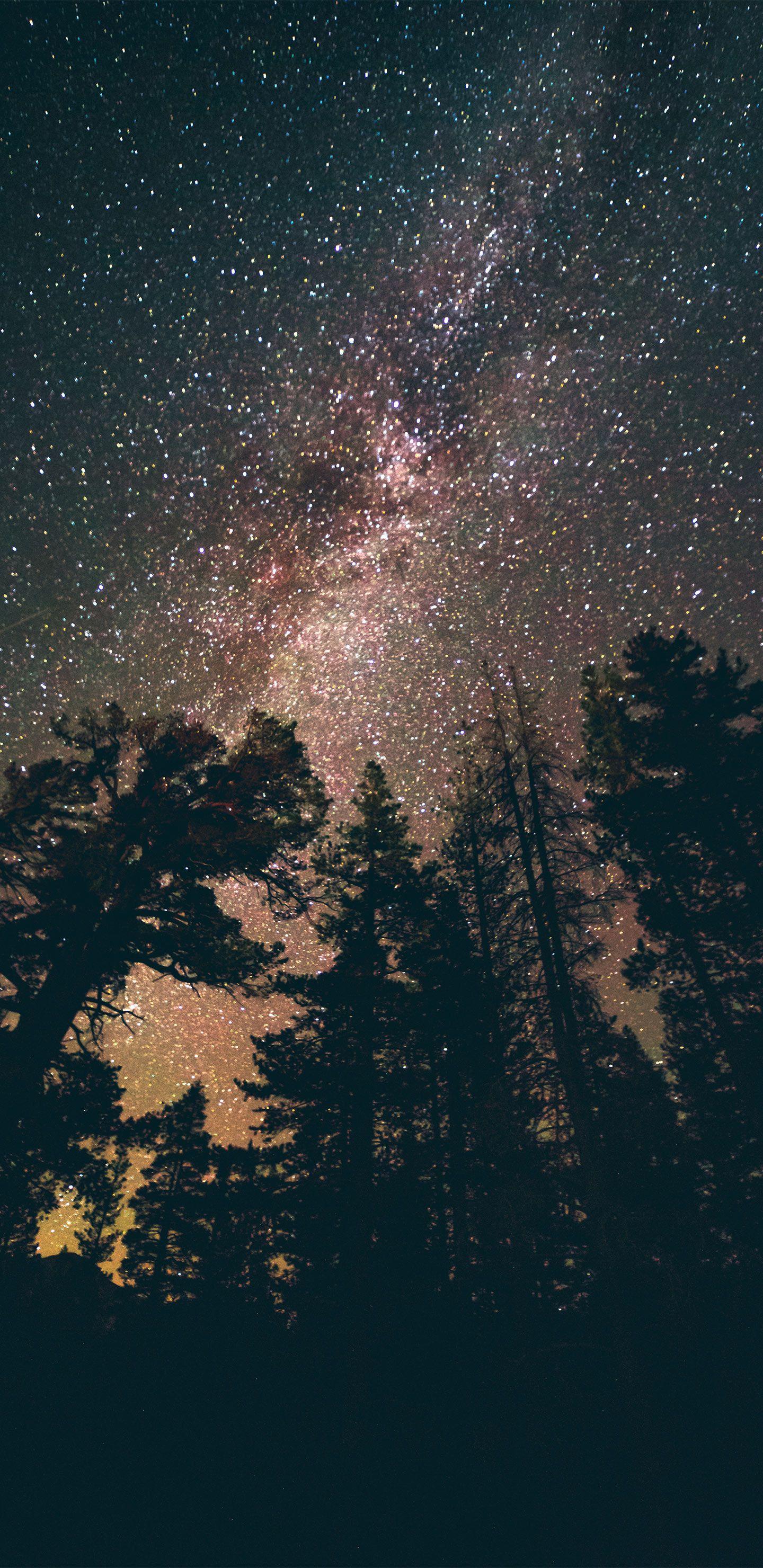 1440x2960 High Quality Free Google Pixel 2 / 2 XL / 3 / 3 XL Wallpaper