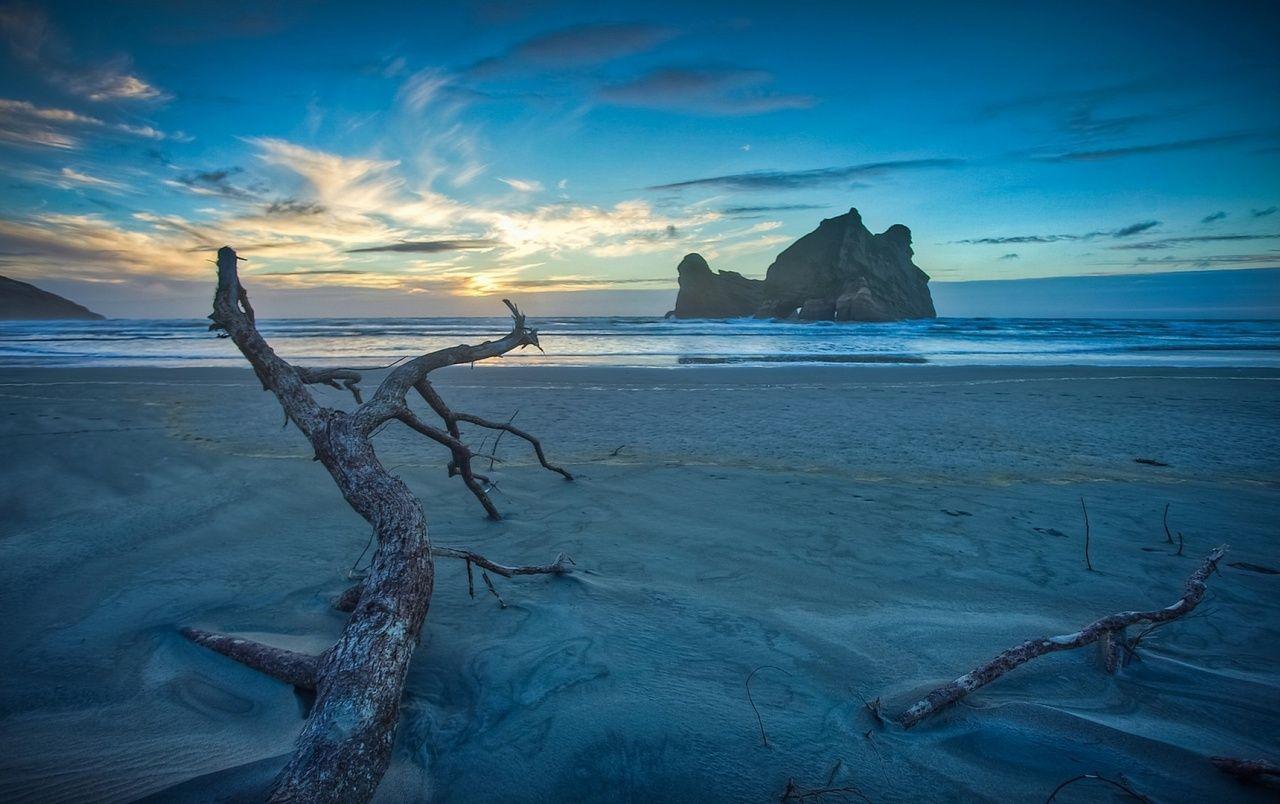 1280x804 New Zealand Beach Sea Wood wallpaper. New Zealand Beach Sea Wood