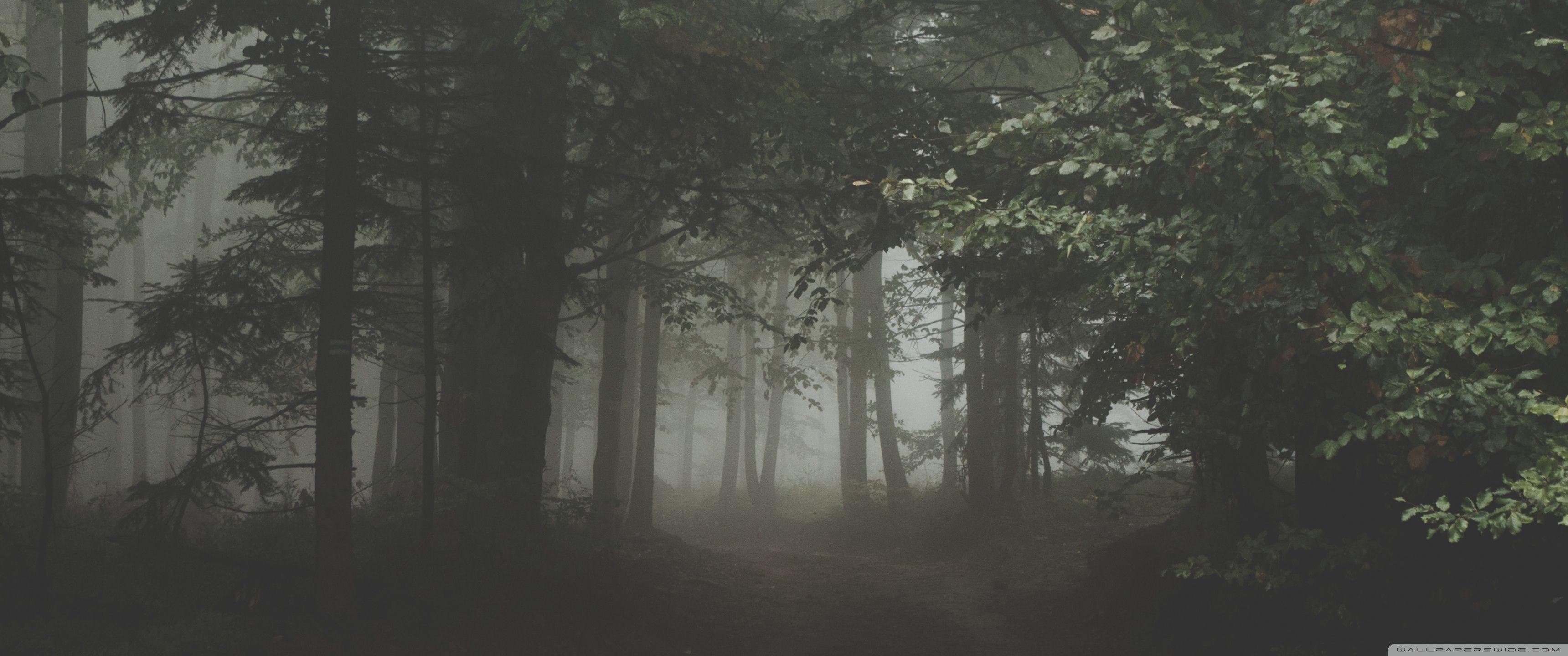 3440x1440 Sinister ❤ 4K HD Desktop Wallpaper for 4K Ultra HD TV • Wide