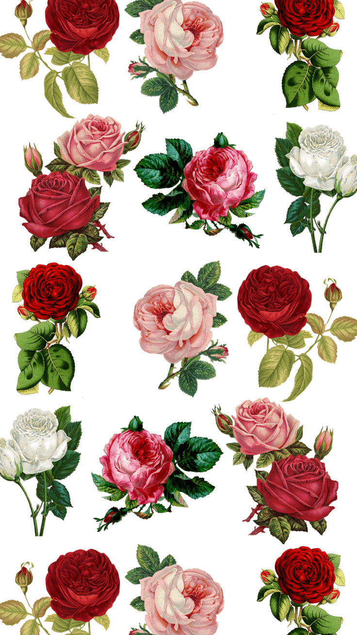 736x1308 Pretty Floral iPhone 8 & 8 Plus HD Wallpaper