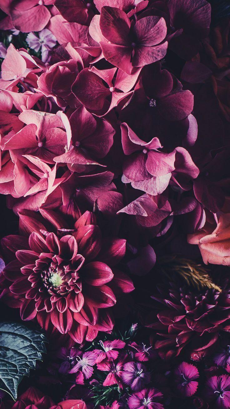 736x1308 Floral iPhone Wallpaper To Celebrate 65k Pinterest Followers