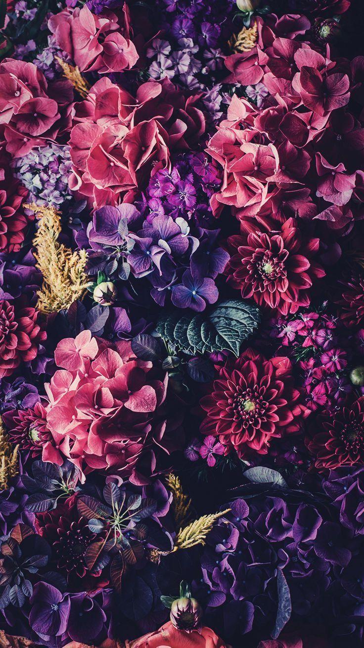 736x1308 Floral iPhone Wallpaper To Celebrate 65k Pinterest Followers