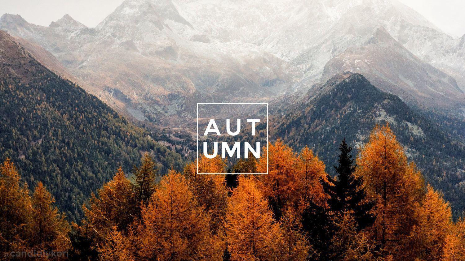 1500x844 Aesthetic Wallpaper : Fall Wallpaper Aesthetic ComputerD