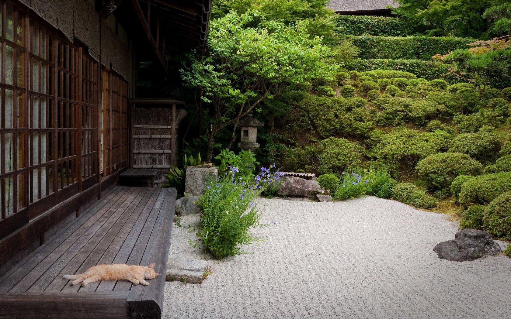 1680x1050 Japanese Garden with Cat Wallpaper and Background Imagex1050