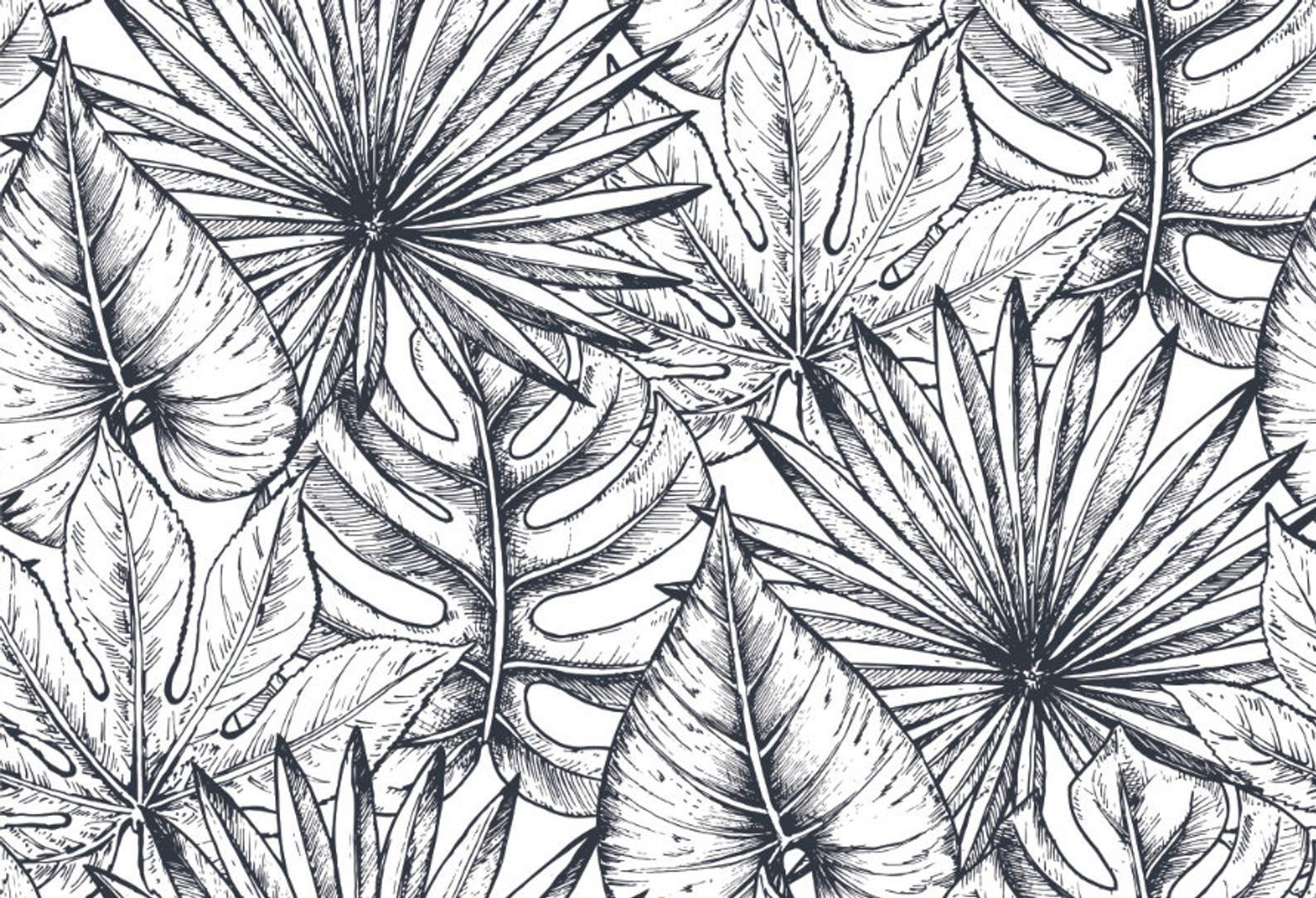 1588x1083 Removable Wallpaper Tropical Plants Wallpaper Self Adhesive. Etsy. How to draw hands, Black and blue wallpaper, Plant wallpaper