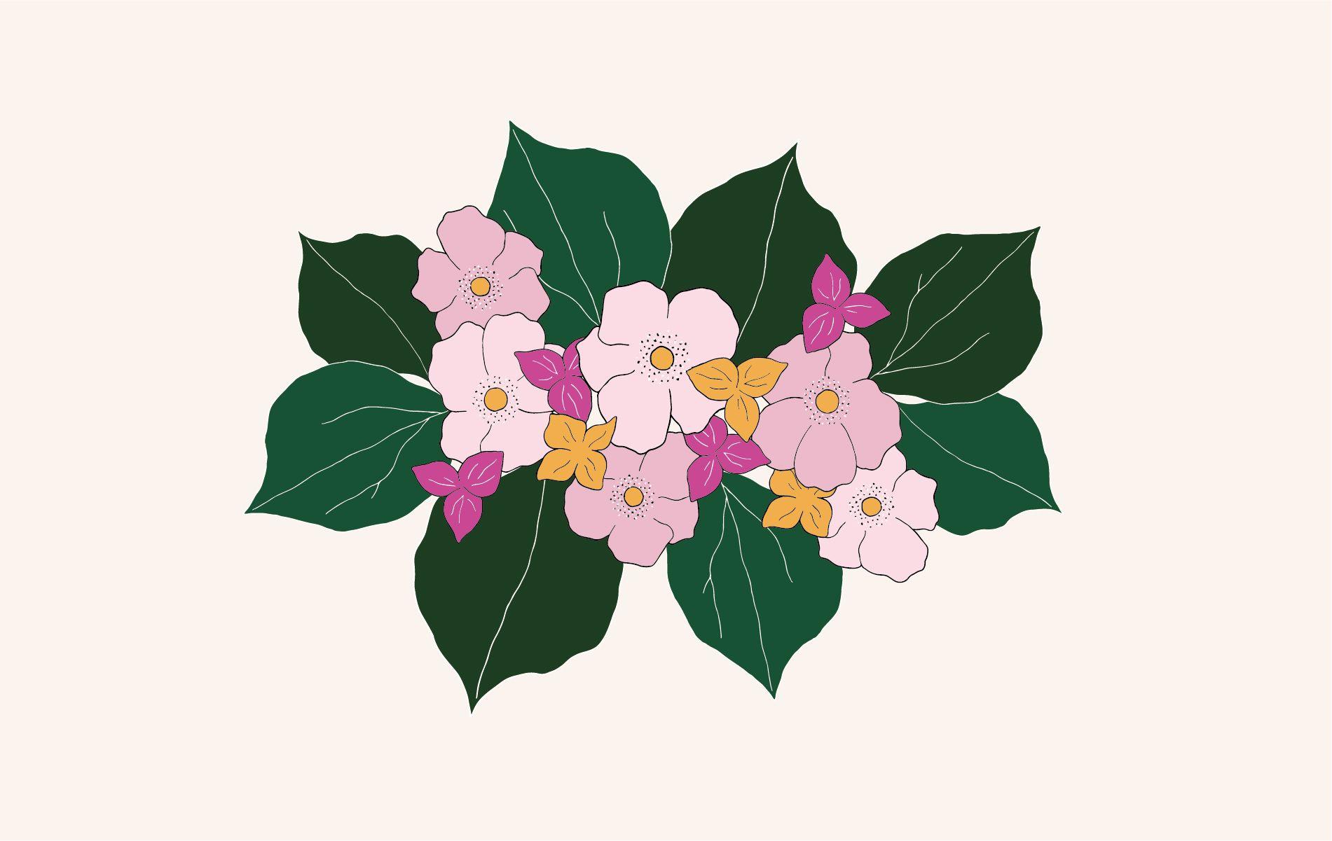 1901x1201 Tropical flower desktop, phone and tablet wallpaper