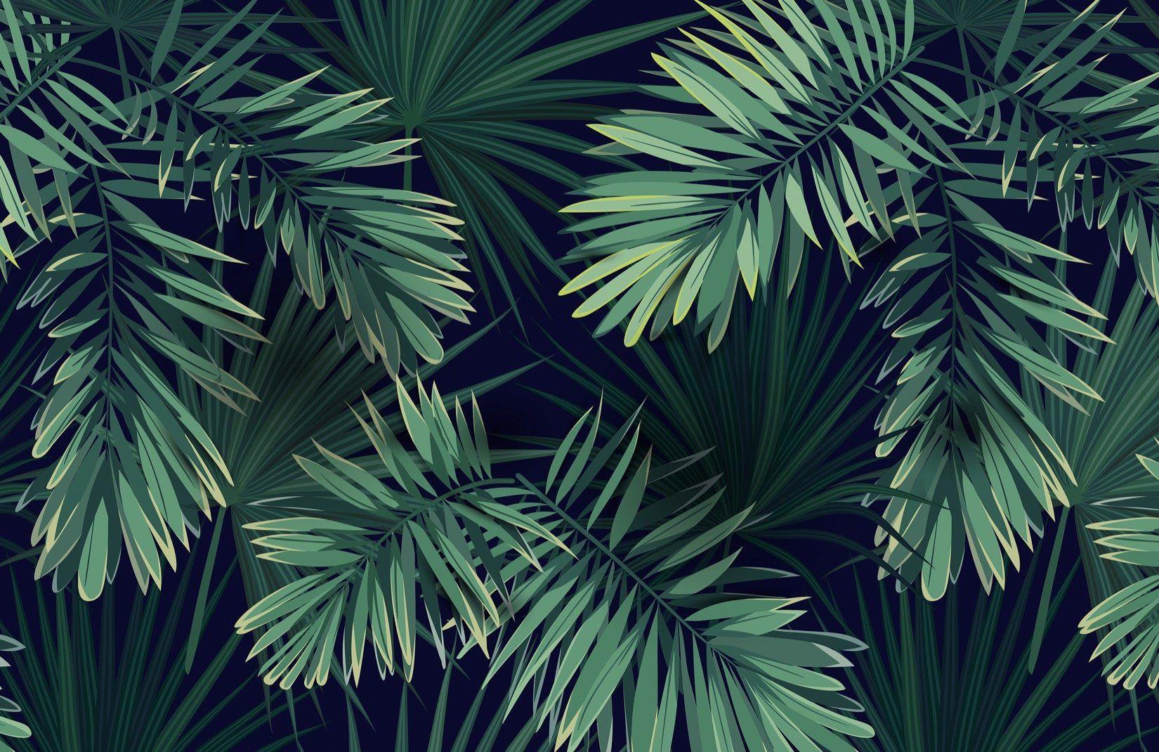 Bức tranh tường hình nền cây xanh nhiệt đới 1650x1070