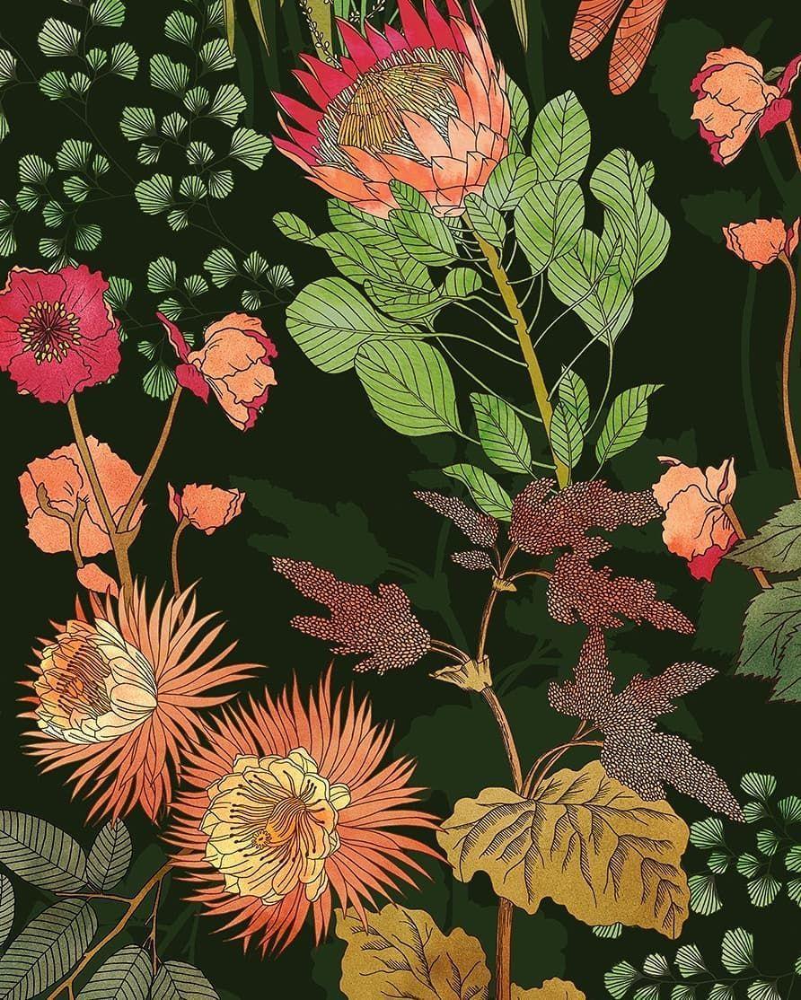 892x1114 Wild Botanics Details