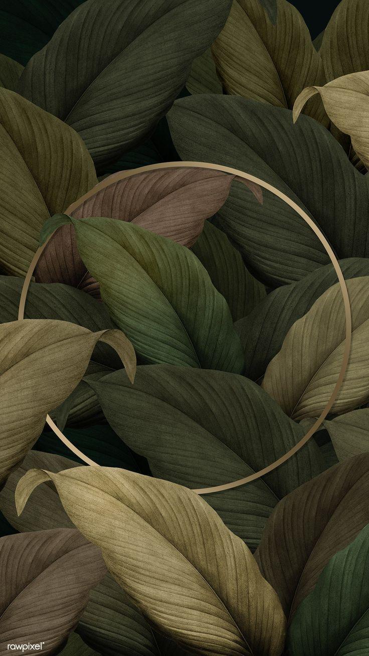 736x1308 Download premium illustration of Gold round frame on tropical leaves. Framed wallpaper, Leaf background, Tropical leaves