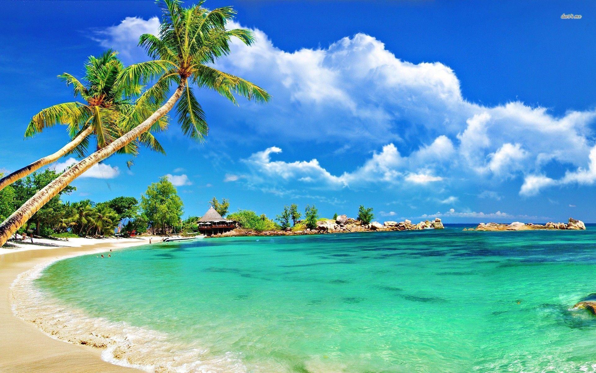 Sunny Beach Wallpapers - Top Free Sunny Beach Backgrounds - WallpaperAccess