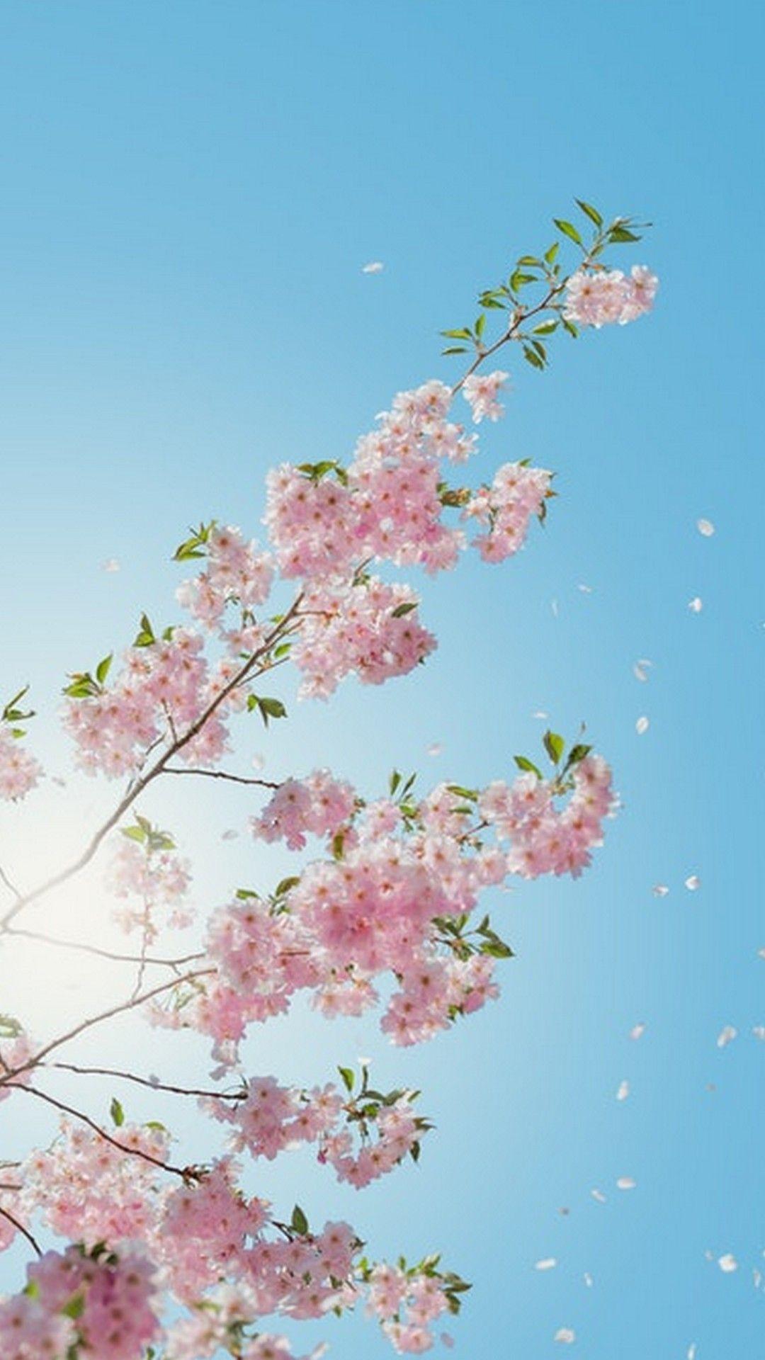 Spring Wallpaper HD FreeAmazoncomAppstore for Android