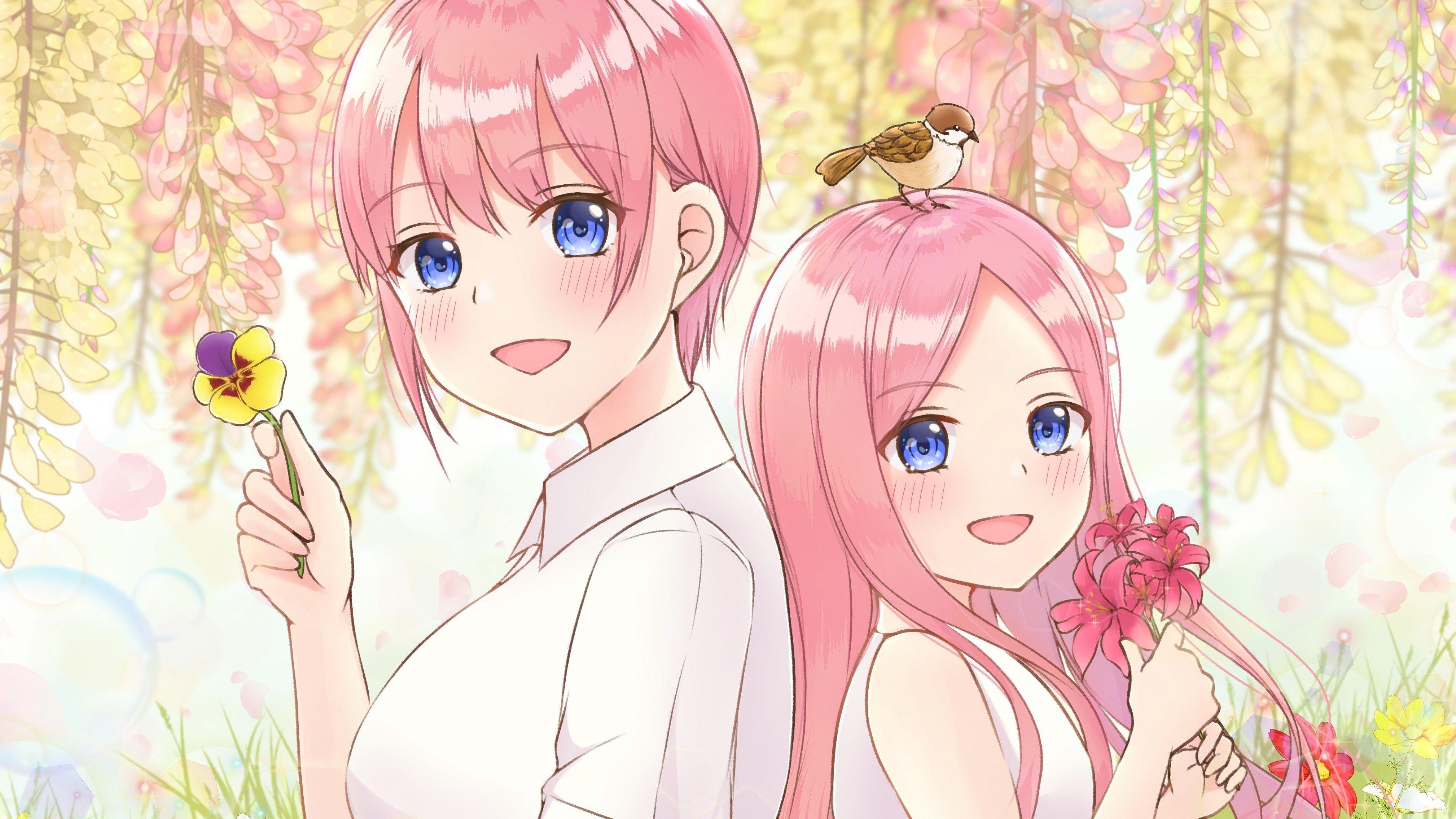 3840x2160 Download 3840x2160 5 Toubun No Hanayome, , Nakano Ichika, Pink