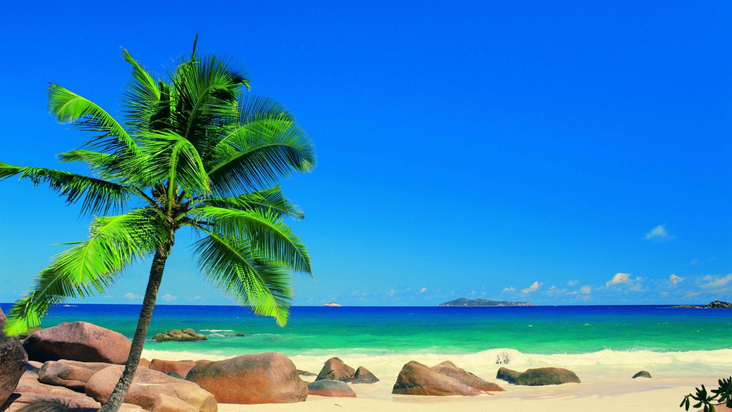 2560x1440 Sunny Beach Wallpaper