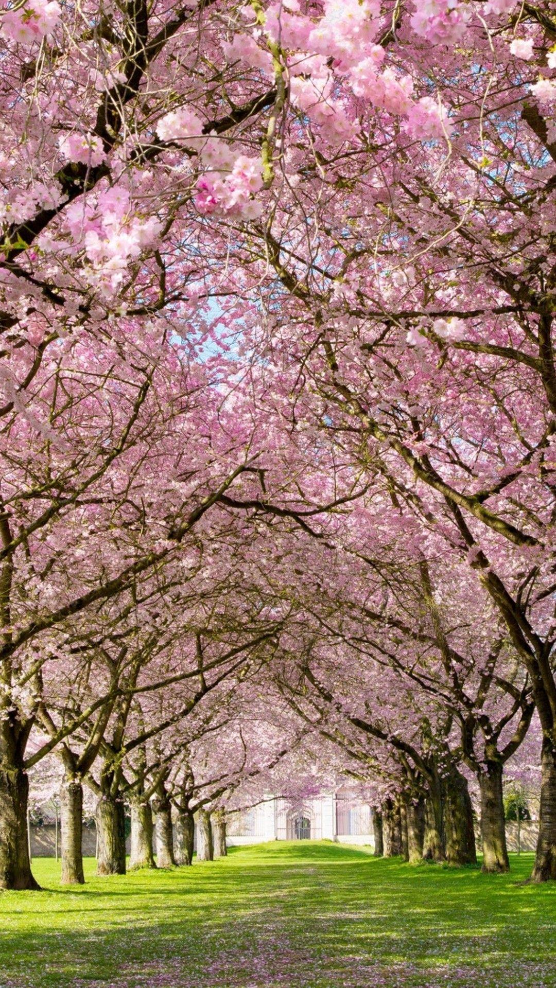 High Resolution Spring Wallpapers - Top Free High Resolution Spring ...