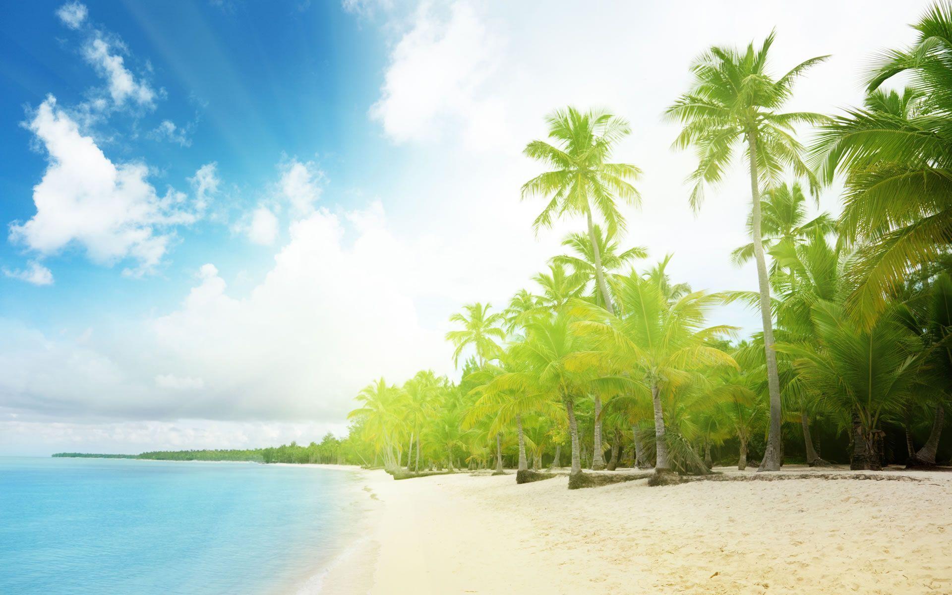 1920x1200 Sunny Beach Wallpaper Desktop. Beach wallpaper, Palm trees beach