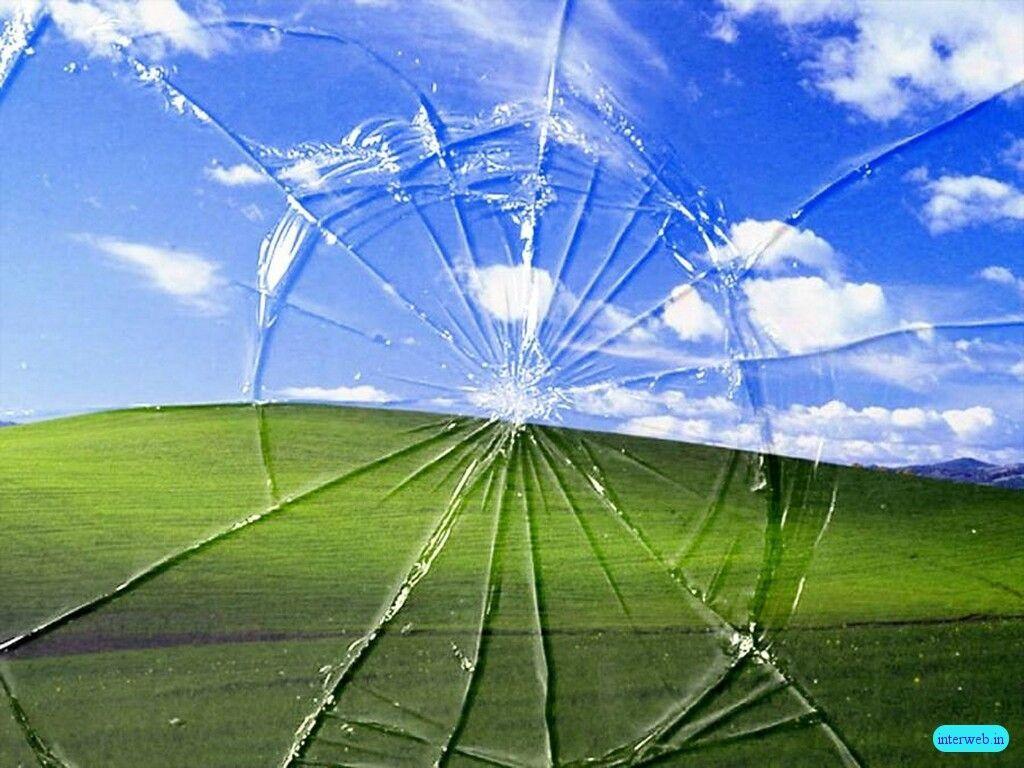 1024x768 Funny Desktop Background