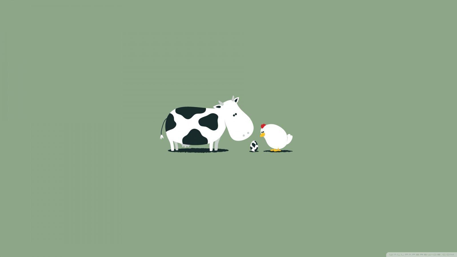 1600x900 Funny HD Wallpaper 1920x1080