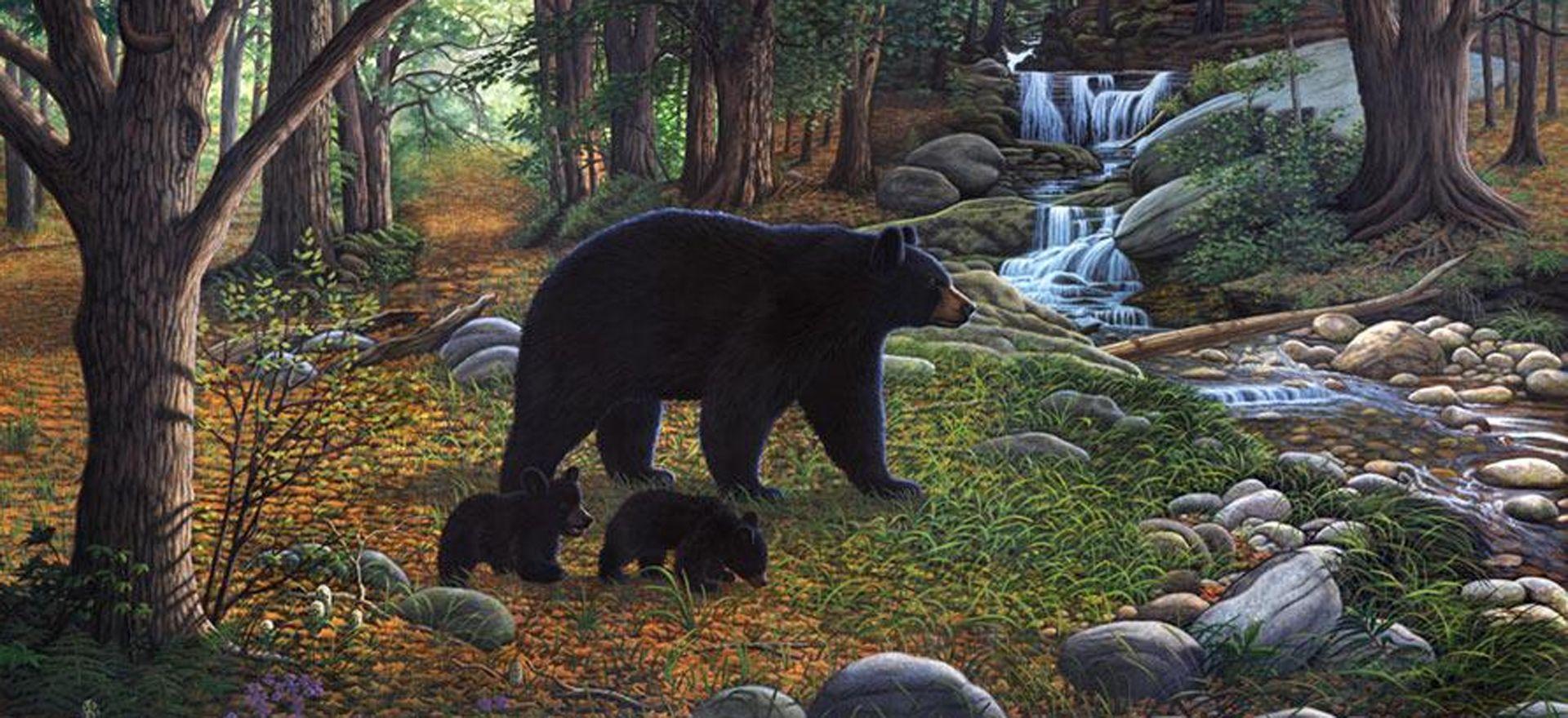 1920x880 Black Bear Painting