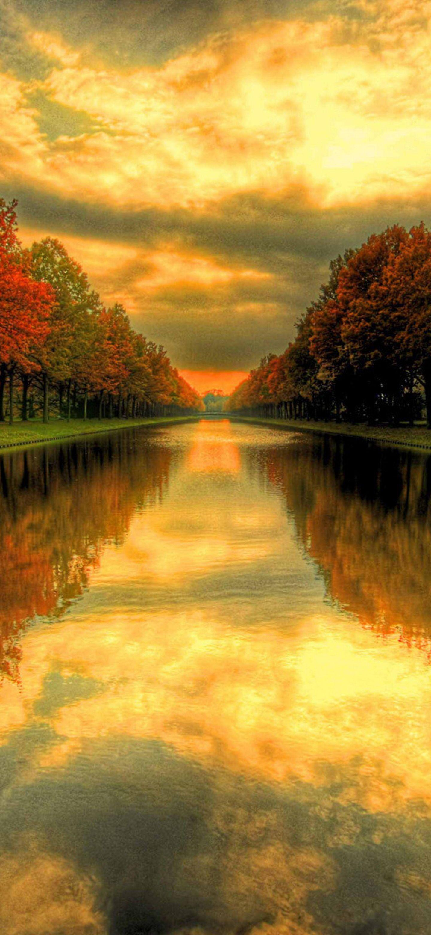 1440x3120 Background HD Wallpaper