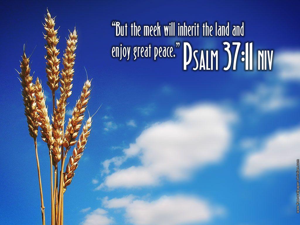 1024x768 Psalm 23 Wallpaper