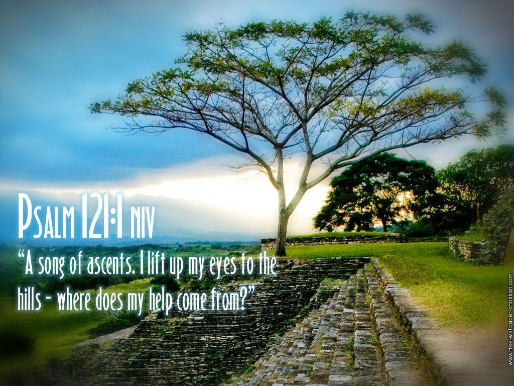 1024x768 Free download wallpaper psalm 118 24 wallpaper psalm 119 105
