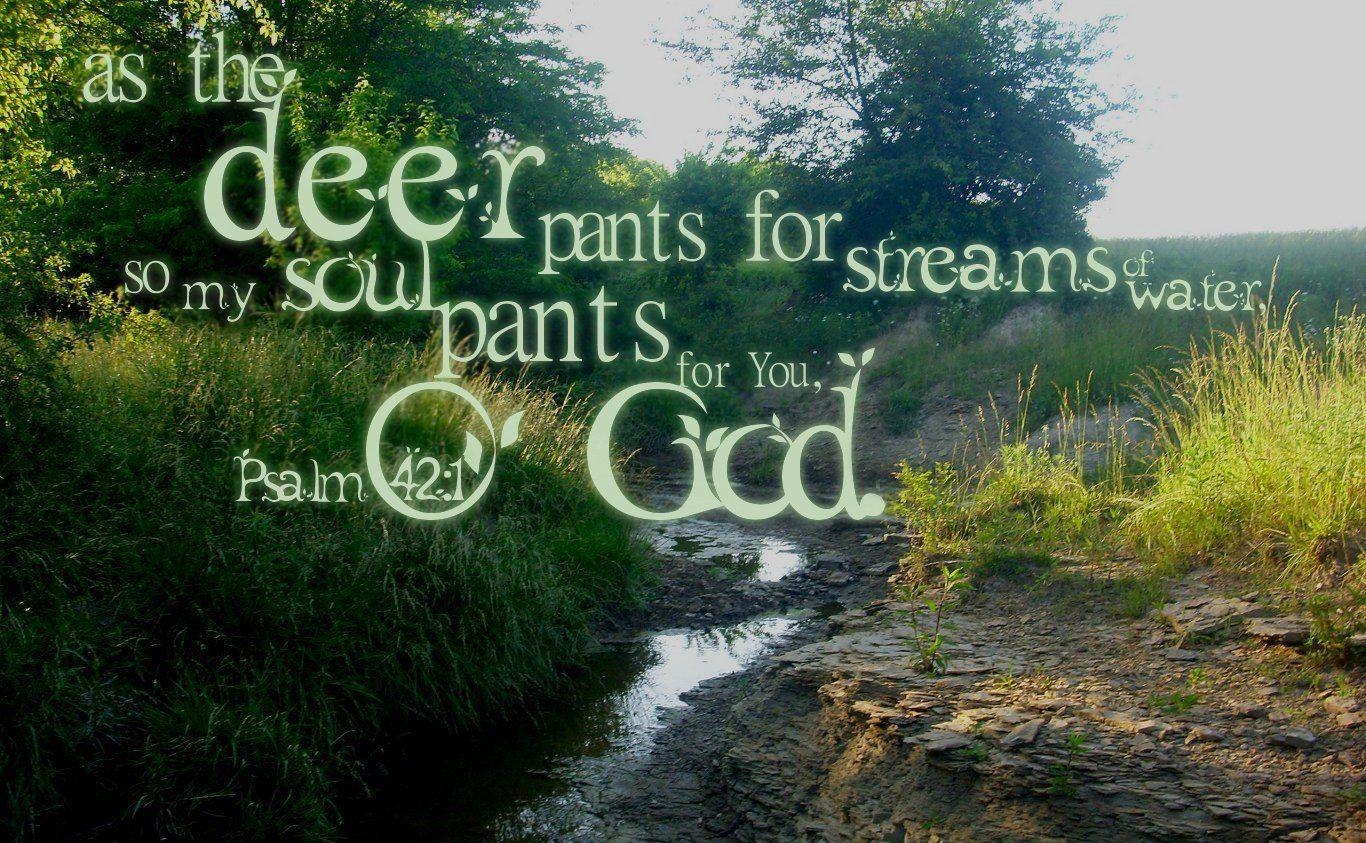 1366x843 Psalm 42:1 Wallpaper and Background Imagex843