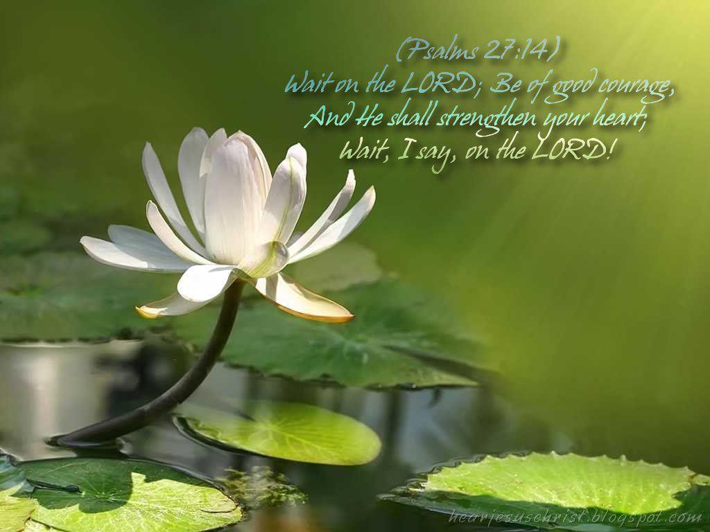 1024x768 Christian Wallpaper: Bible Verse Wallpaper 27:14