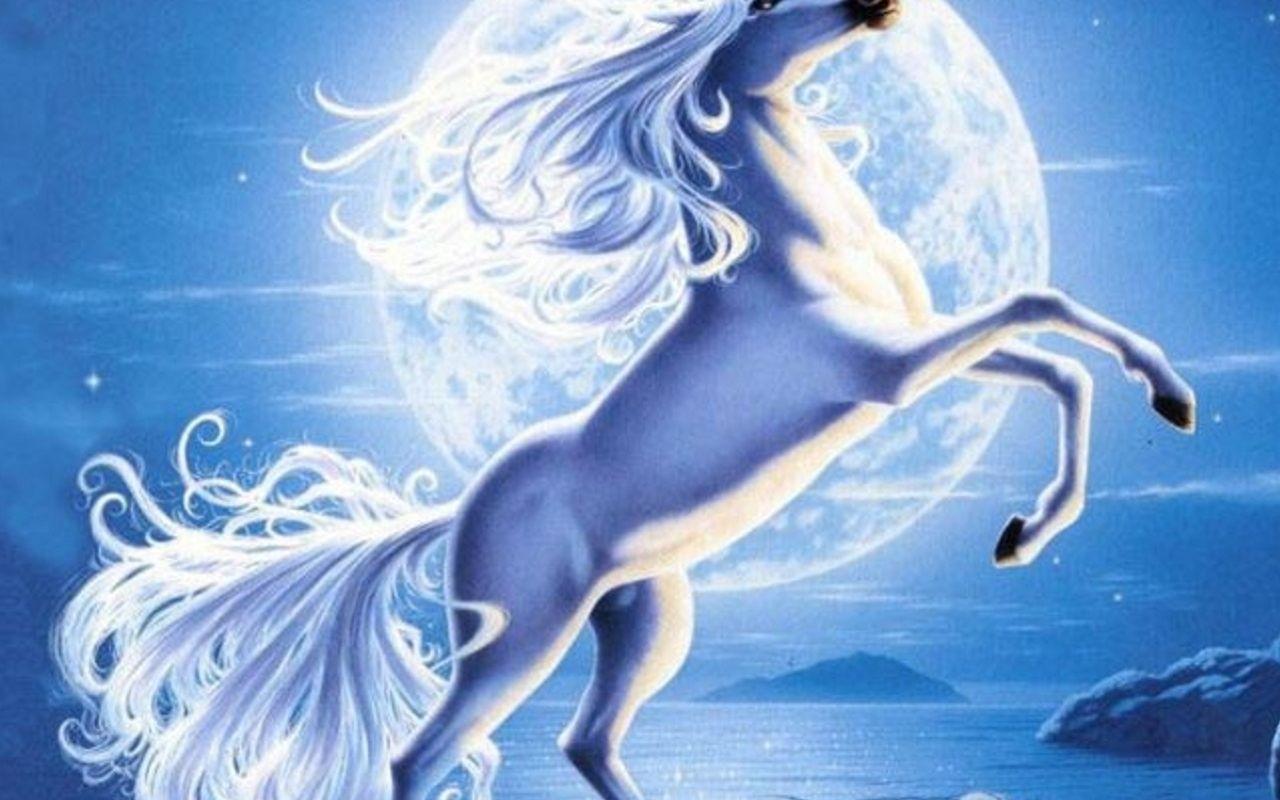1280x800 Unicorns Creatures Wallpaper