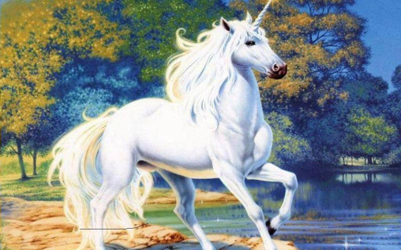 1280x800 Unicorn 4u: Unicorns Creatures Wallpaper